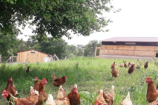 Ferme de Kervern